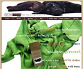 Two Dog Island website